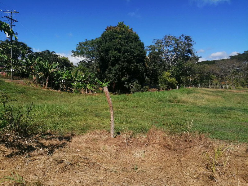 Fantastic large lot in Peaceful Monterrey: Quiet community close to the beach in Esterillos! - Gallery image 3