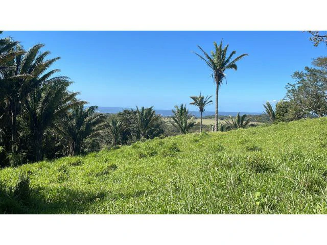 Nature Paradise Farm for sale in the mountains of Quebrada Grande, Building potential property 30 minutes away from Liberia - Gallery image 23
