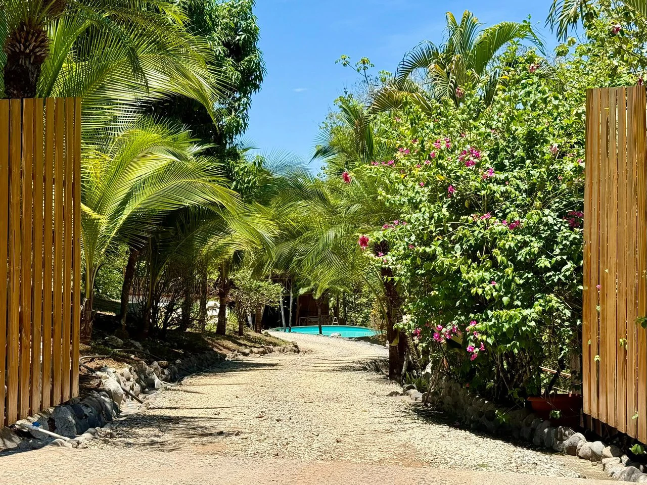 Cobano Jungle Lodge: Santa Fe de Cobano, Costa Rica  Tropical Home with Guest House,  Airbnb Potential & Jungle Privacy ONLY $249,000 USD! - Gallery image 36