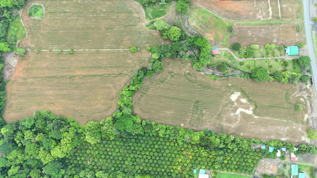 Near the Coast Agricultural Land For Sale in Matapalo - Gallery image 4