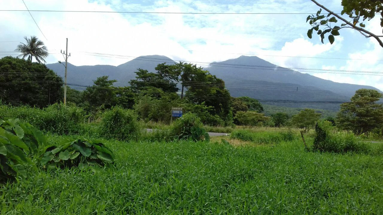 Big property with small house in Bijagua - Gallery image 14