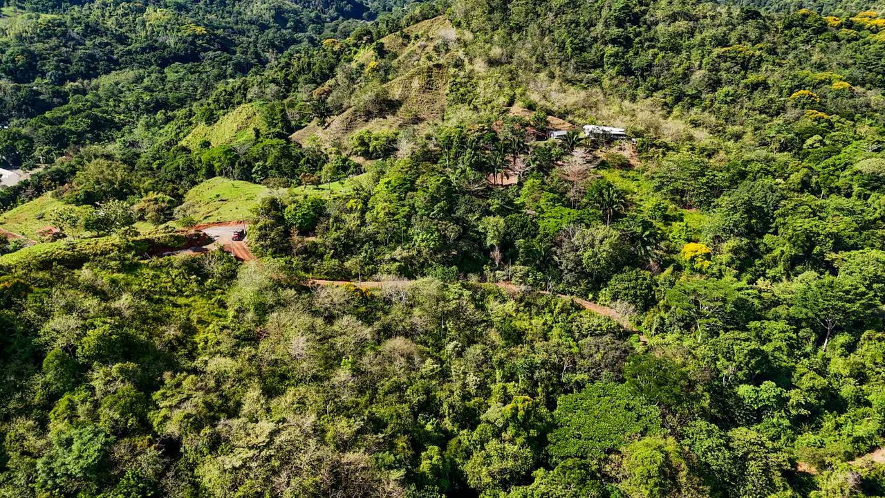 32 Acre Self Sustainable Farm with House Close Ojochal - Gallery image 63