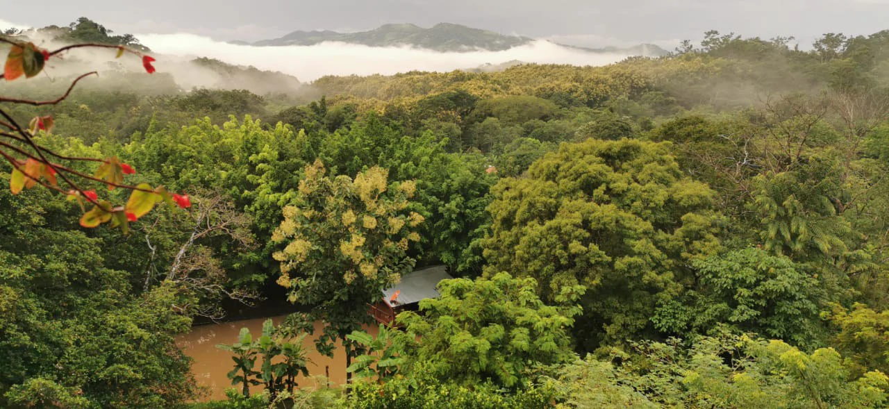 Agricultural Farm for Sale in the mountains of Hojancha, Beautiful 25-acre property with floating lake Apartment and Huge main home - Gallery image 3