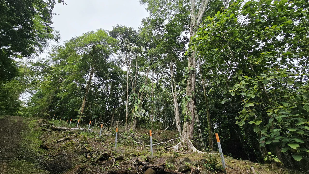 Near the Coast Home Construction Site For Sale in Uvita - photo 5