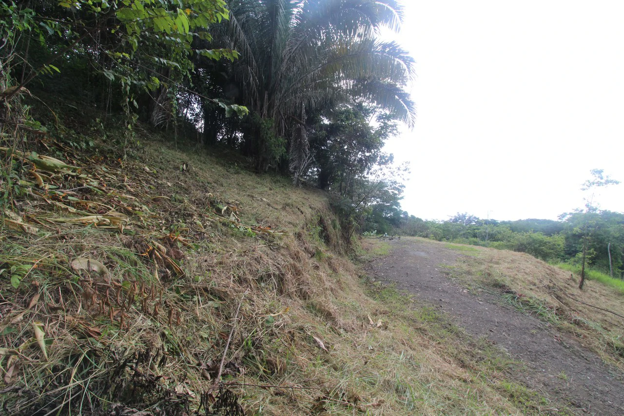 Whitewater Sunset Ocean View Lot Close to Dominical Beach - Gallery image 22