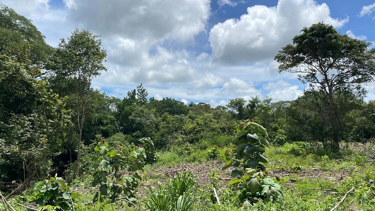 Countryside Agricultural Land For Sale in Limonal - Gallery image 8
