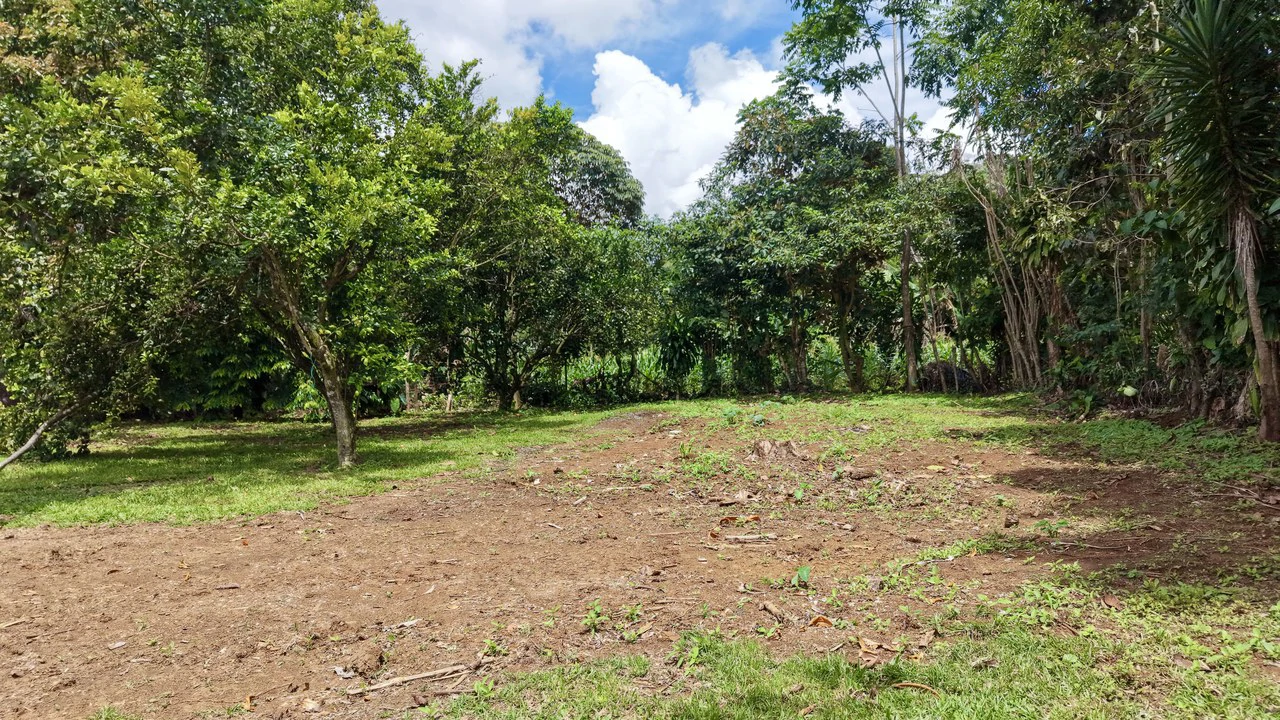 House For Sale in Daniel Flores - Gallery image 26