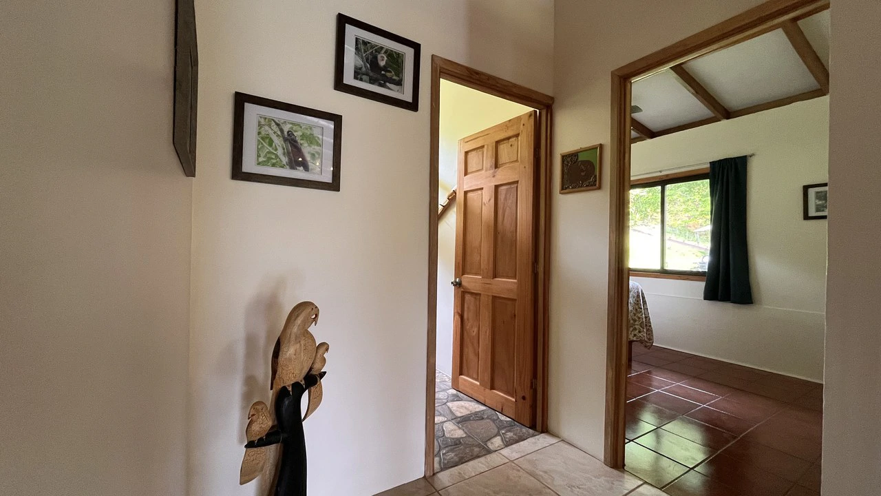 Mountain House For Sale in San Isidro del General - photo 28