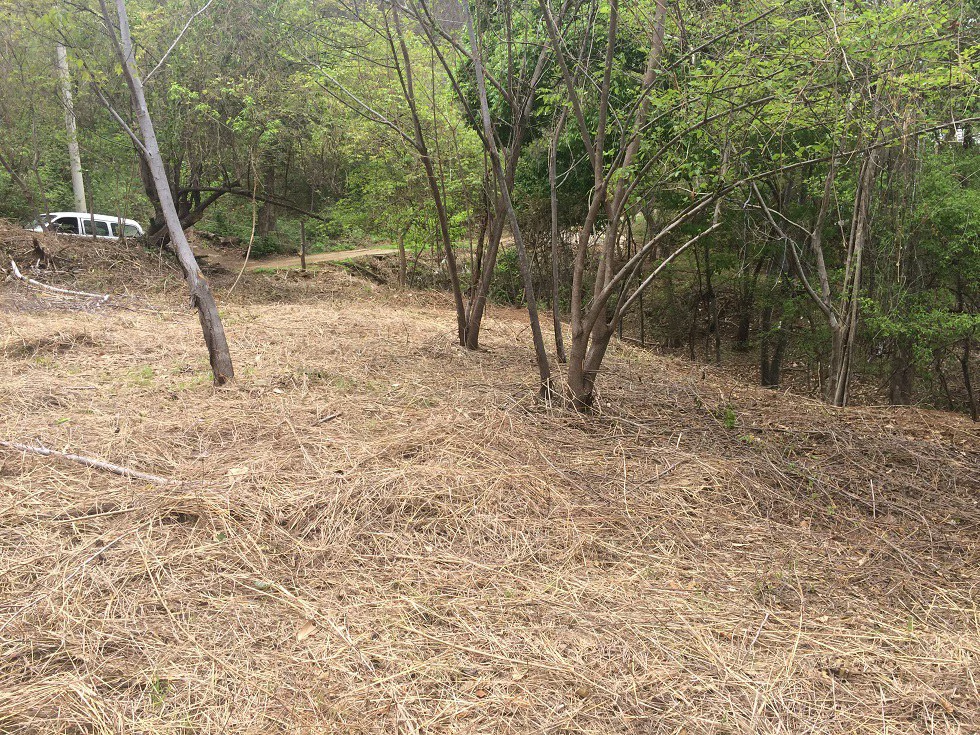 GRAN OPORTUNIDAD. Propiedad grande: Beach property in Playa Ocotal - Gallery image 10