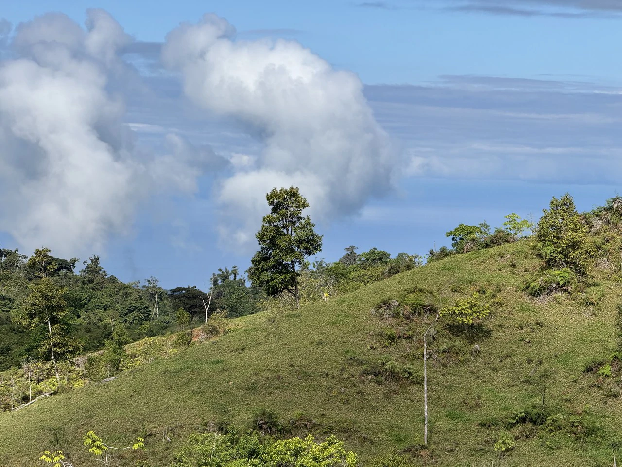 47 Acre Off Grid Ranch with Ocean & Mountain Views San Lorenzo Perez Zeledón - Gallery image 4
