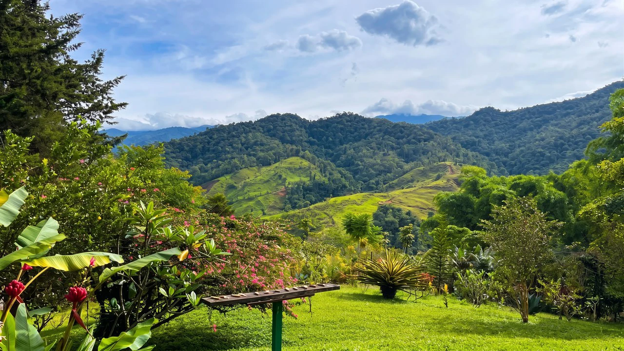 Mountain House For Sale in San Isidro del General - photo 5