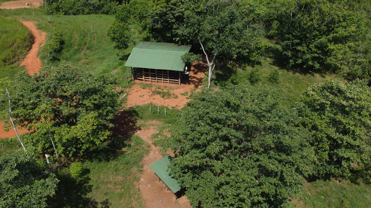 8.78 Acres Mountain View Estate with Water, Infrastructure & Endless Development Potential | Platanillo de Barú, Costa Rica - photo 9