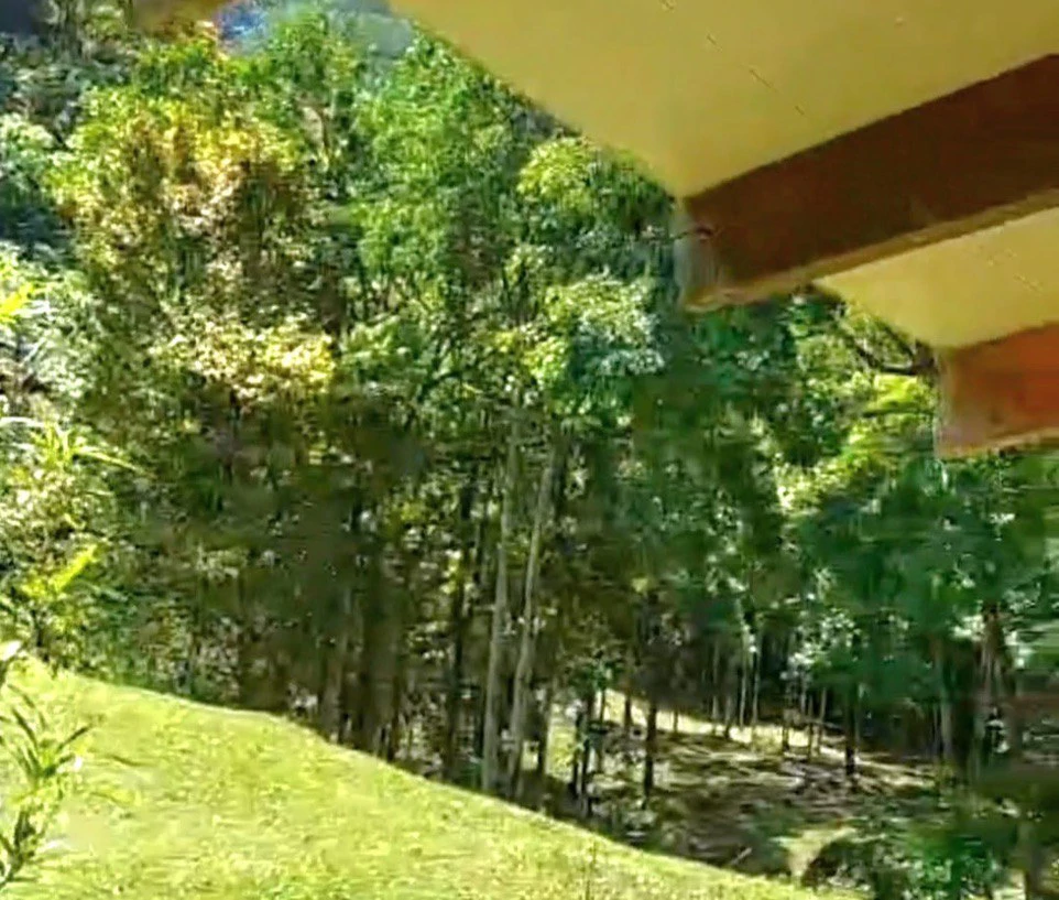 ENCHANTING 43-HECTARE FINCA WITH MODERN WOODEN CABIN AND INFINITY POOL - Gallery image 24