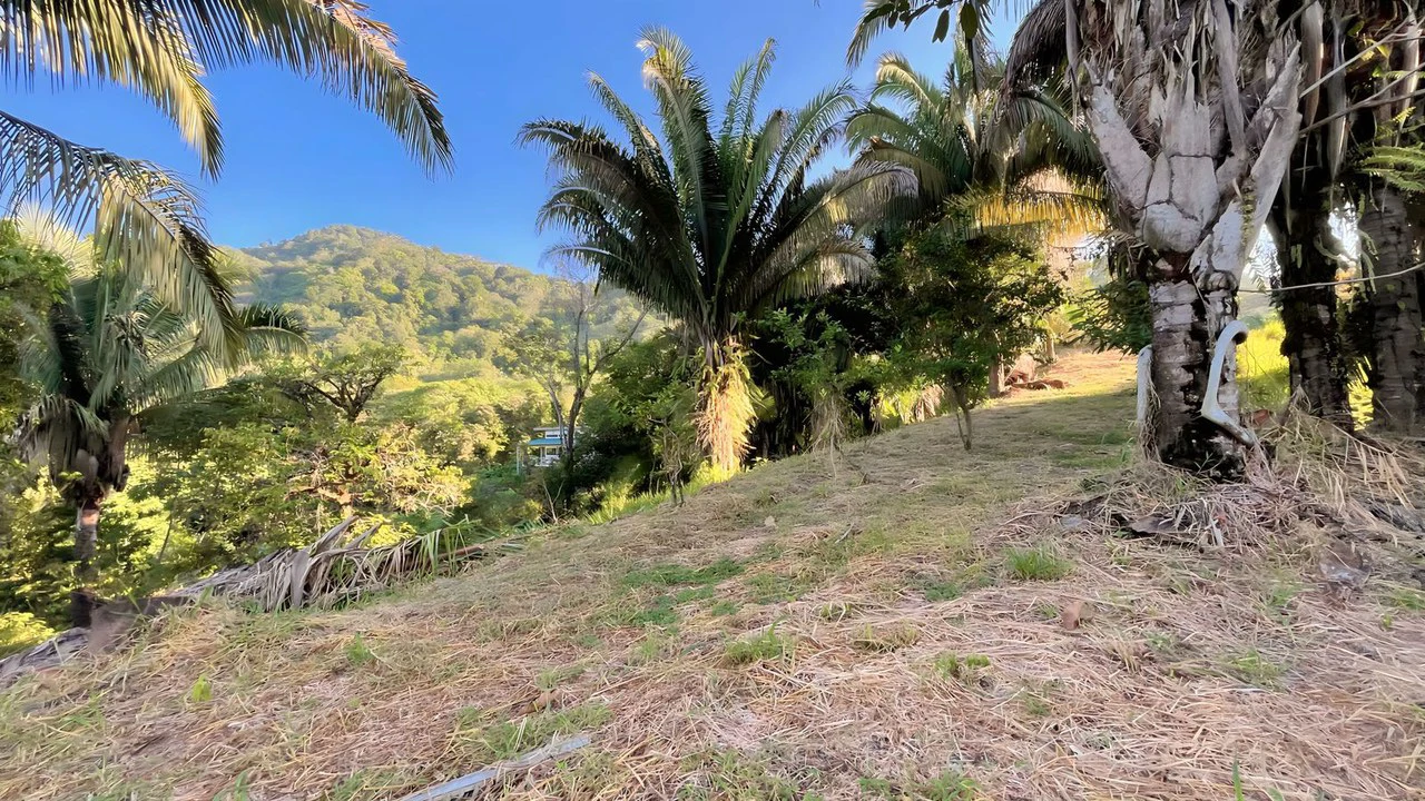 Exclusive Hermosa 1.2 Acre Lot with Panoramic Mountains and Ocean View. - Gallery image 11