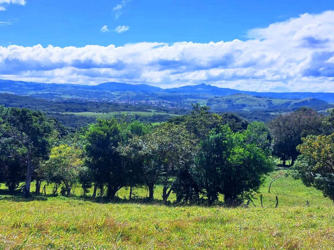 LA CABAÑA - COUNTRY ESTATE WITH HUGE POTENTIAL - Gallery image 22