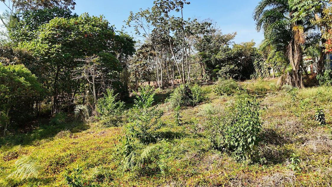 Home Construction Site For Sale in La Ceniza - Gallery image 8