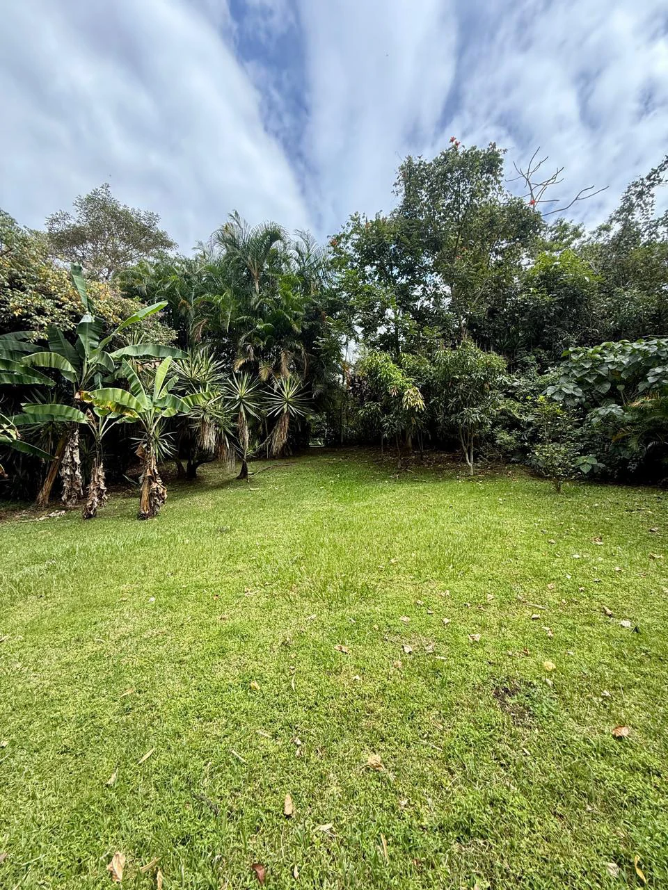 Detached single-family home for sale Costa Rica Escazu with big garden - Gallery image 30