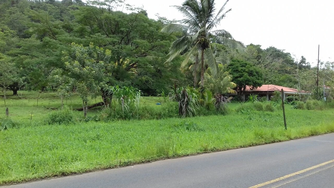 Big property with small house in Bijagua - Gallery image 2