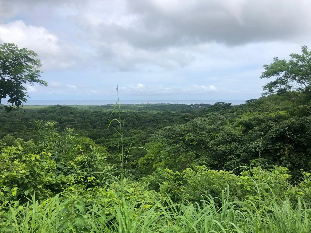 Spectacular private ocean view farm in Tamarindo, Costa Rica - Gallery image 3