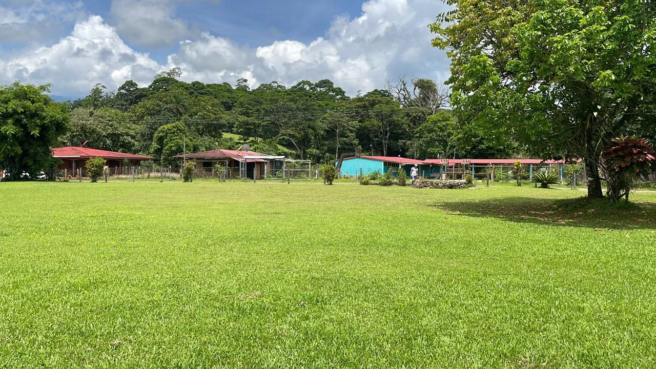 Mountain Agricultural Land For Sale in Bijagua - Gallery image 38