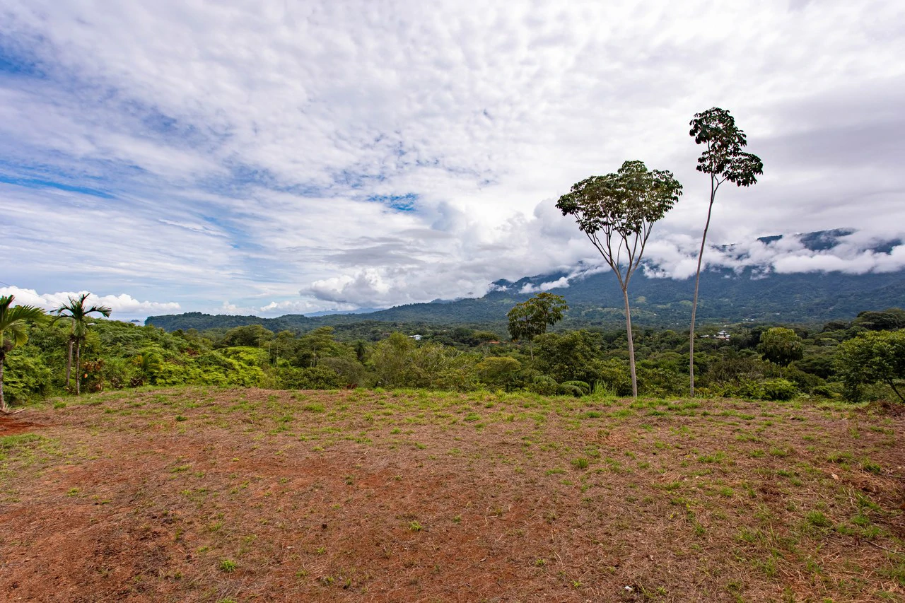 Ocean, Mountain View Ready to Build Lot on Desired Calle Perezoso - photo 4