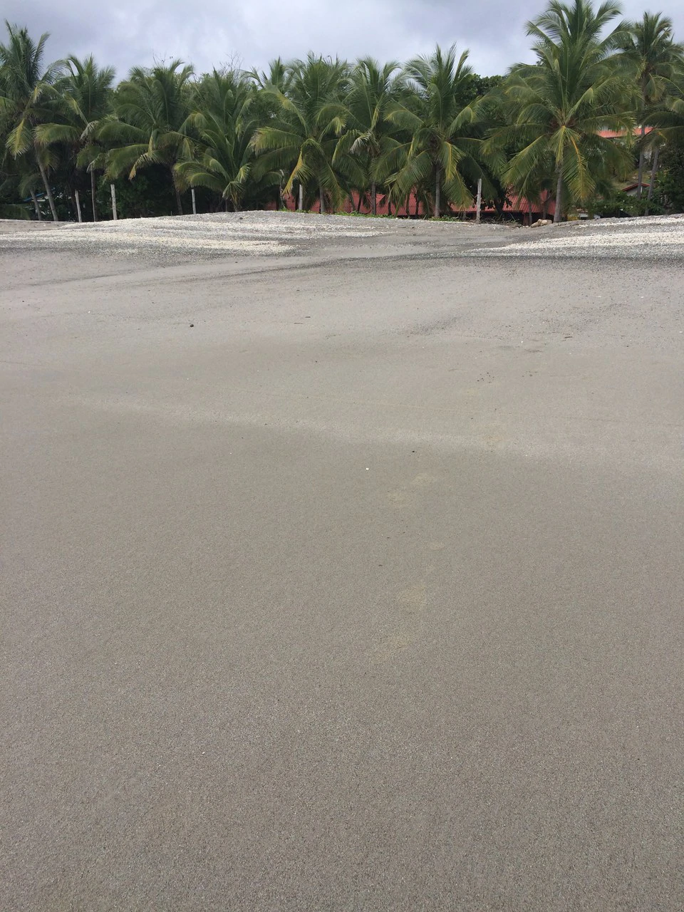 Beachfront Hotel for Sale in Playa Sámara - Gallery image 18