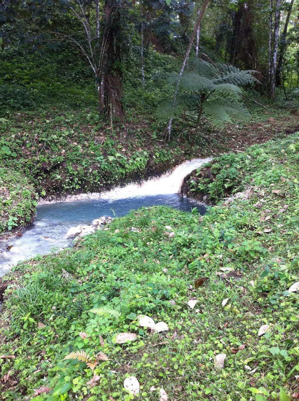 Cold & Hot springs surrounded by an overgrown farm, taken back by nature - Gallery image 83