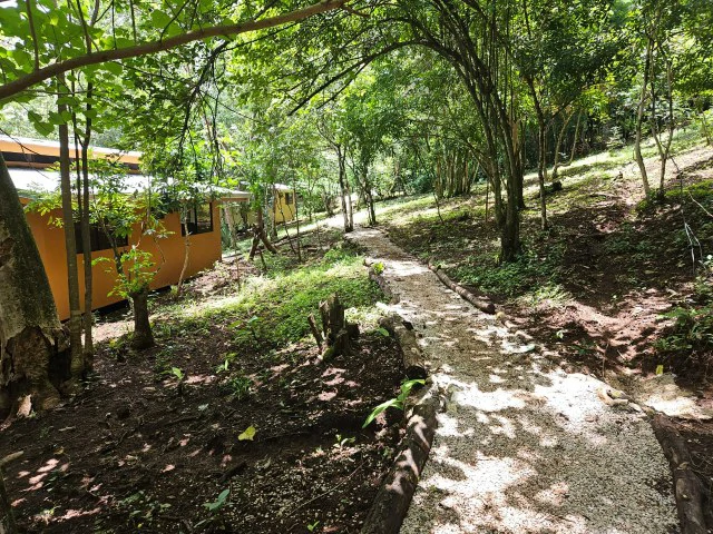 Nosara's Brand New Top Villas as a Business Opportunity in the dense forest of catchment area, 7 villas for sale in Costa Rica's Healthy Blue Zone - Gallery image 9