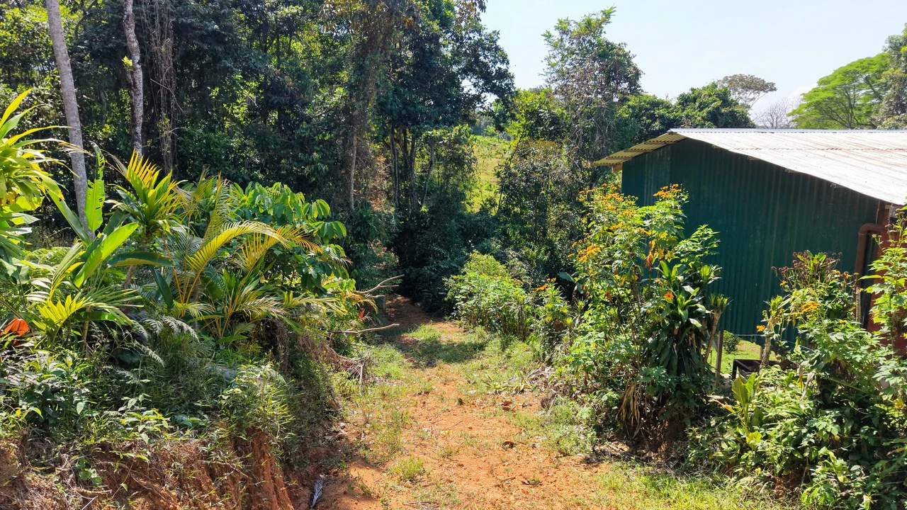 Countryside Home Construction Site For Sale in Cajón - Gallery image 7