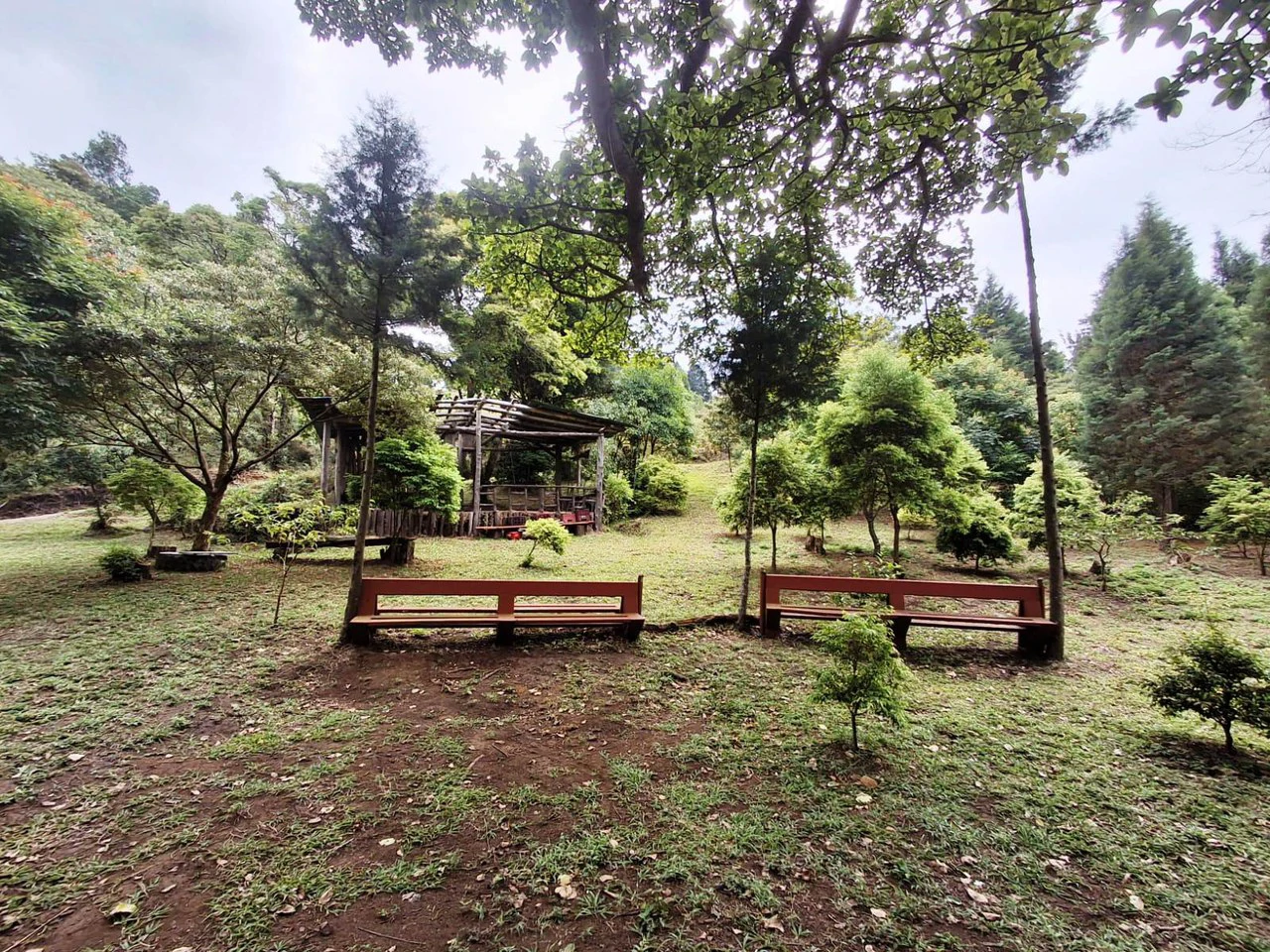 Mountaintop Canvas!: 31,000m2 - Entrepreneur's Dream Property! - Gallery image 7
