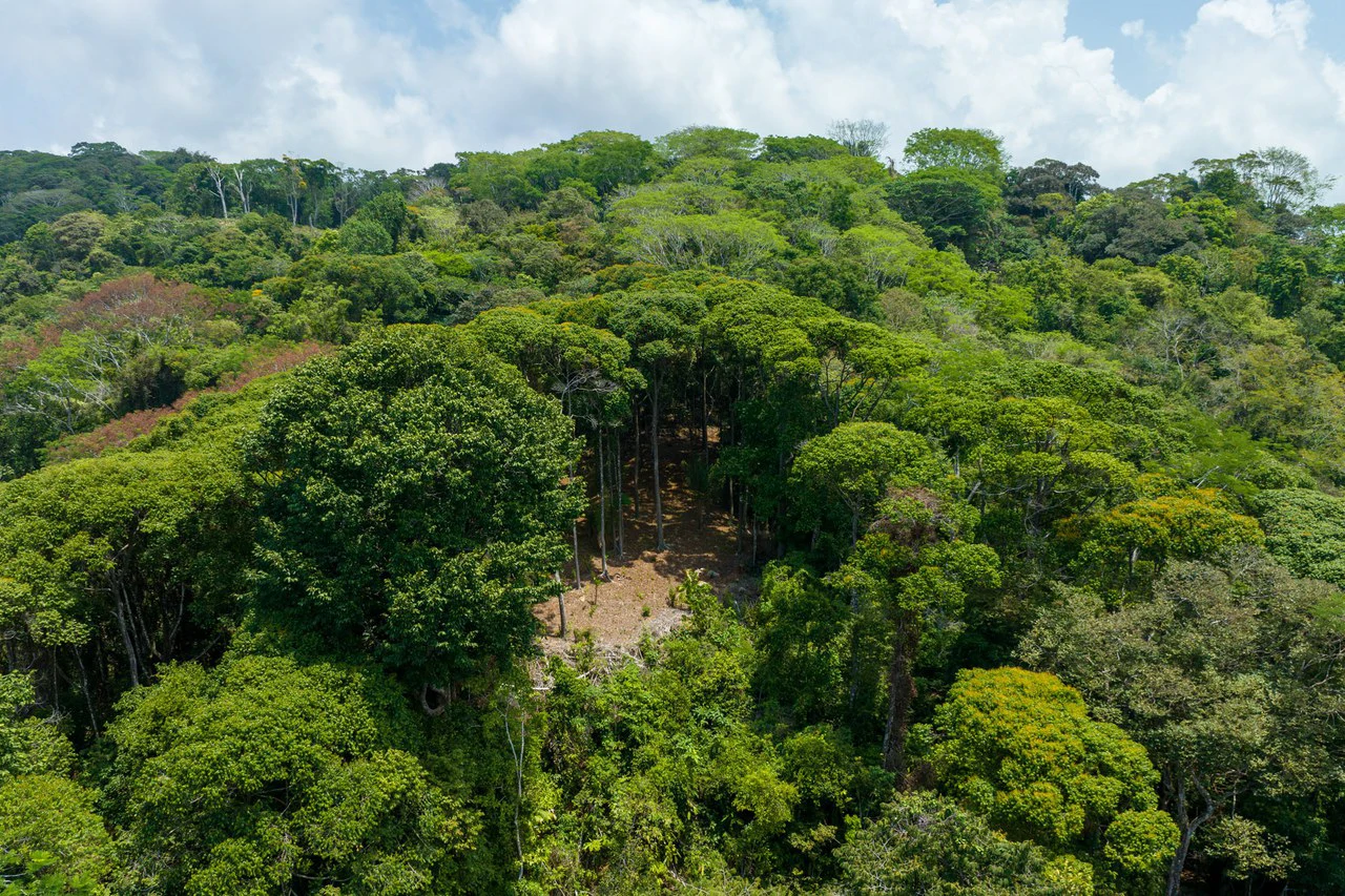 Rare 86-Acre Ocean View Estate Bordering Hacienda Barú – A Unique Opportunity for Conservation and Development - Gallery image 14