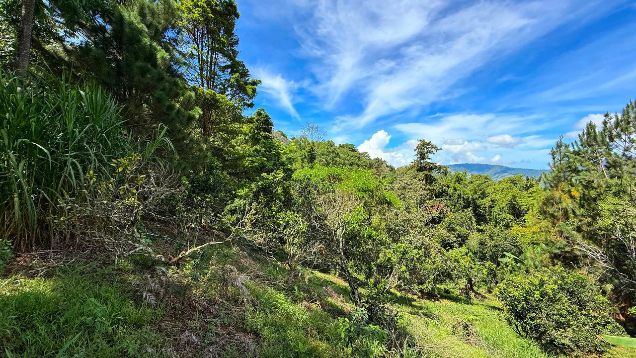 Home Construction Site For Sale in San Rafael Norte - Gallery image 22
