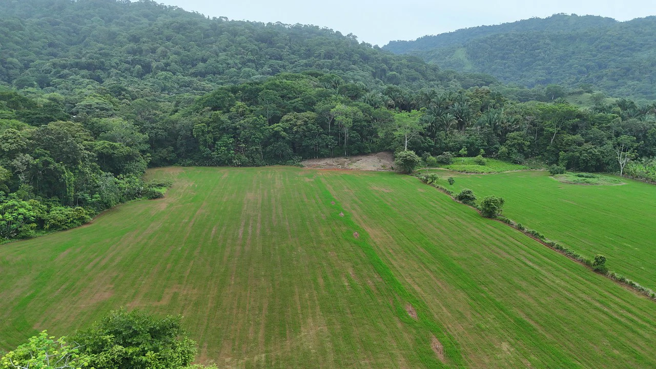 Near the Coast Agricultural Land For Sale in Matapalo - Gallery image 10