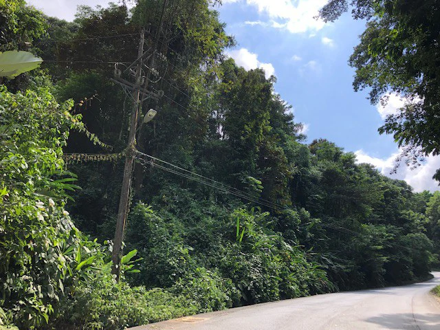 6.5 ACRES – Space To Grow, Build & Thrive, Close To The Beach & Commercial Potential Road Frontage!!!!!: Mountain and Countryside Development Parcel For Sale in Platanillo de Dominical - Gallery image 15