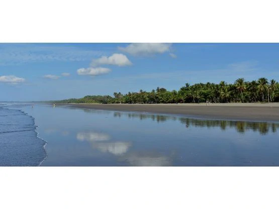 PLOT OF LAND IN PLAYA BEJUCO FOR REAL ESTATE OR TOURIST DEVELOPMENT - Gallery image 2