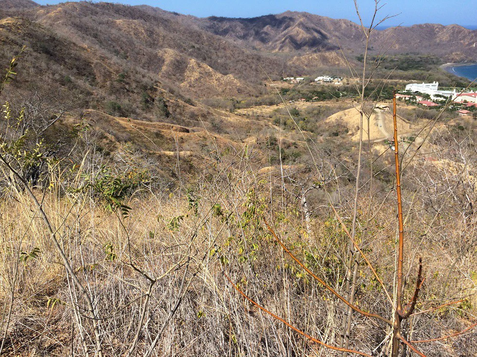 Ocean view property in the area of Guanacaste, great commercial opportunity near the Hotel Riu - Gallery image 13