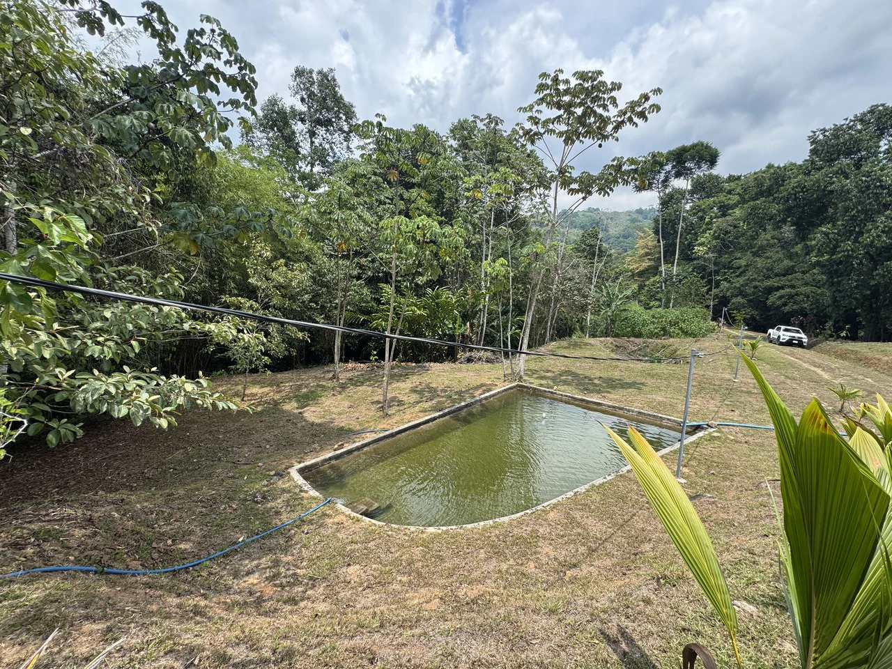 50 Acre Waterfall and River Paradise Above Dominical - Gallery image 34