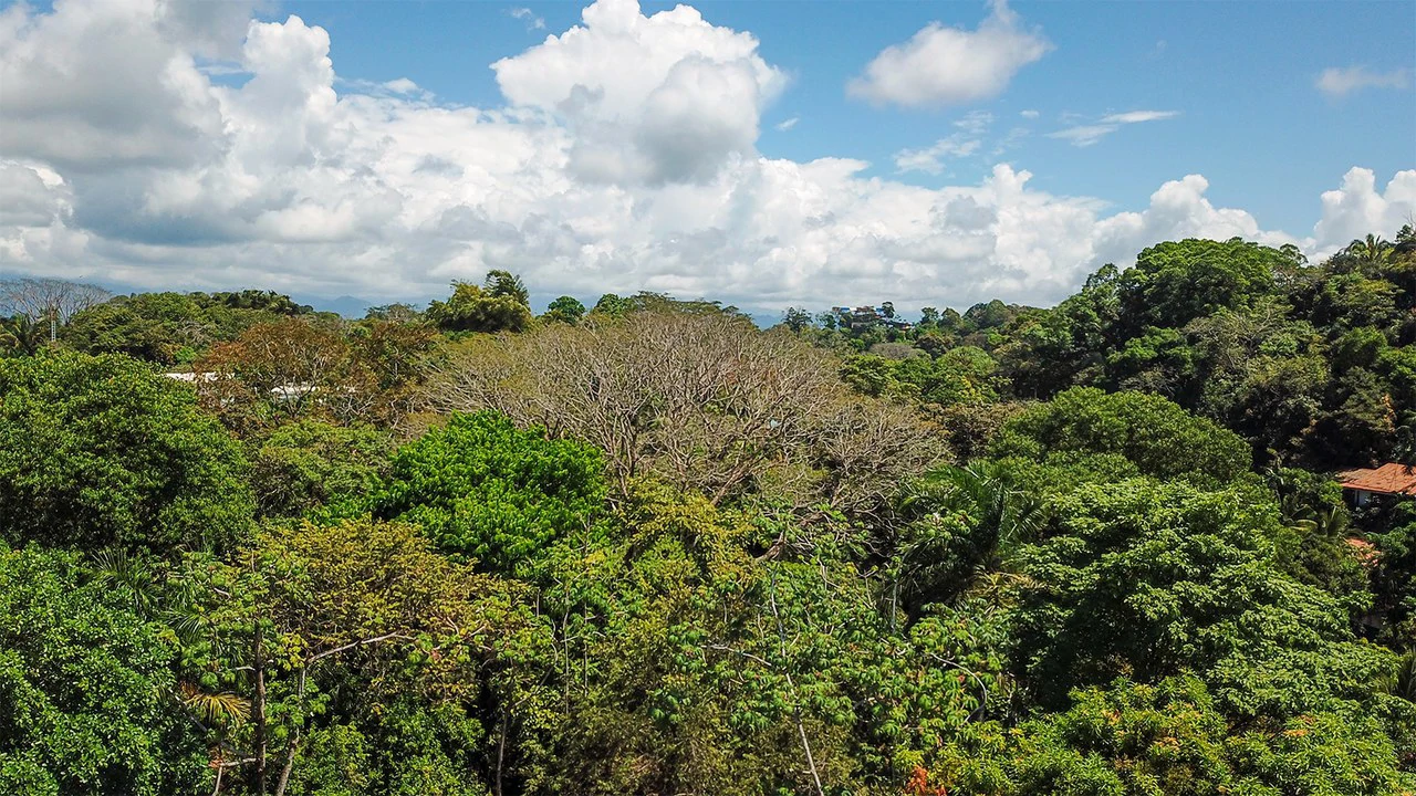Build Ready Lot in the Heart of Manuel Antonio - Gallery image 14
