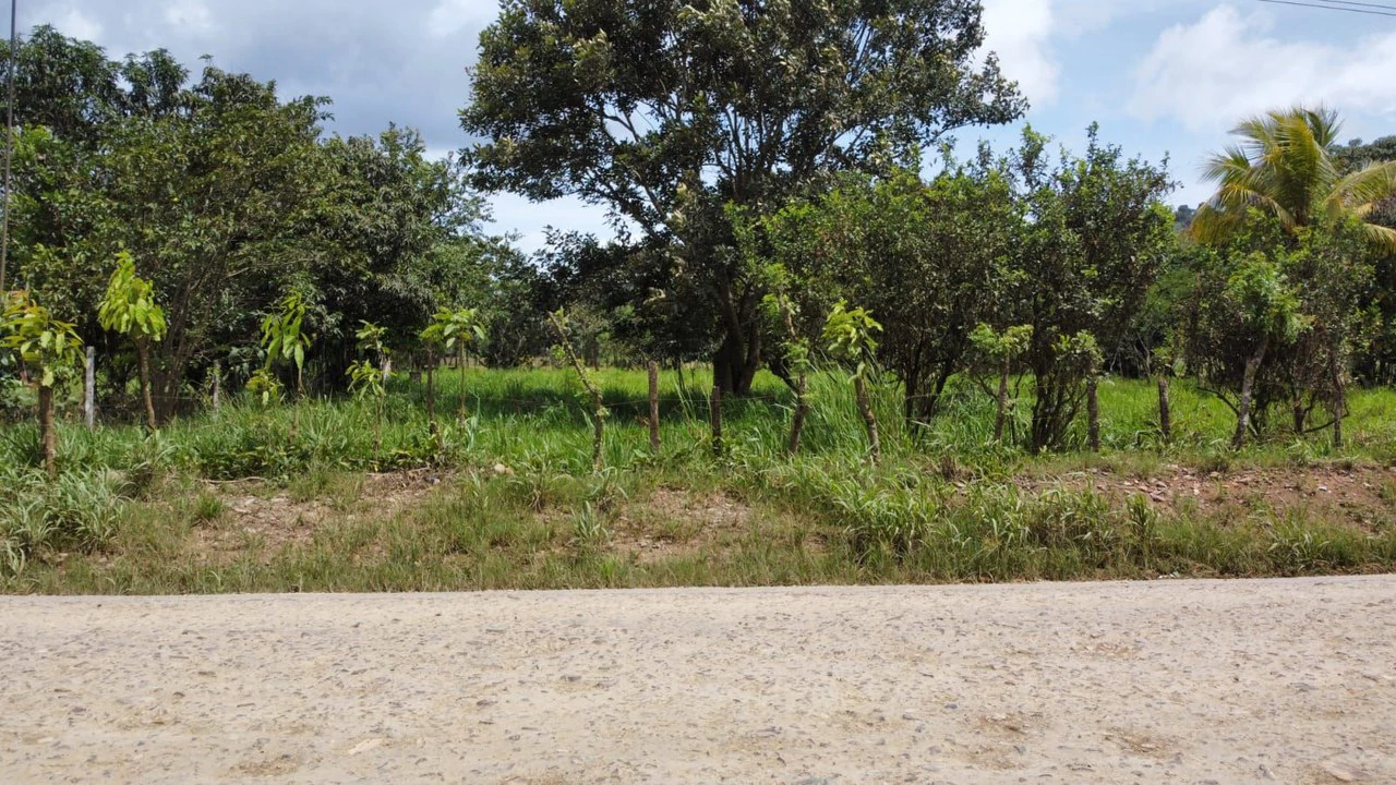 Se vende propiedad en el Rosario Pacuar, Pérez Zeledón.: Countryside Home Construction Site For Sale in Daniel Flores - Gallery image 16