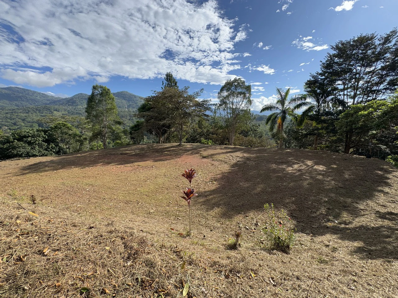 Stunning 2.4 Acre Property in Quebradas San Isidro del General - Gallery image 23