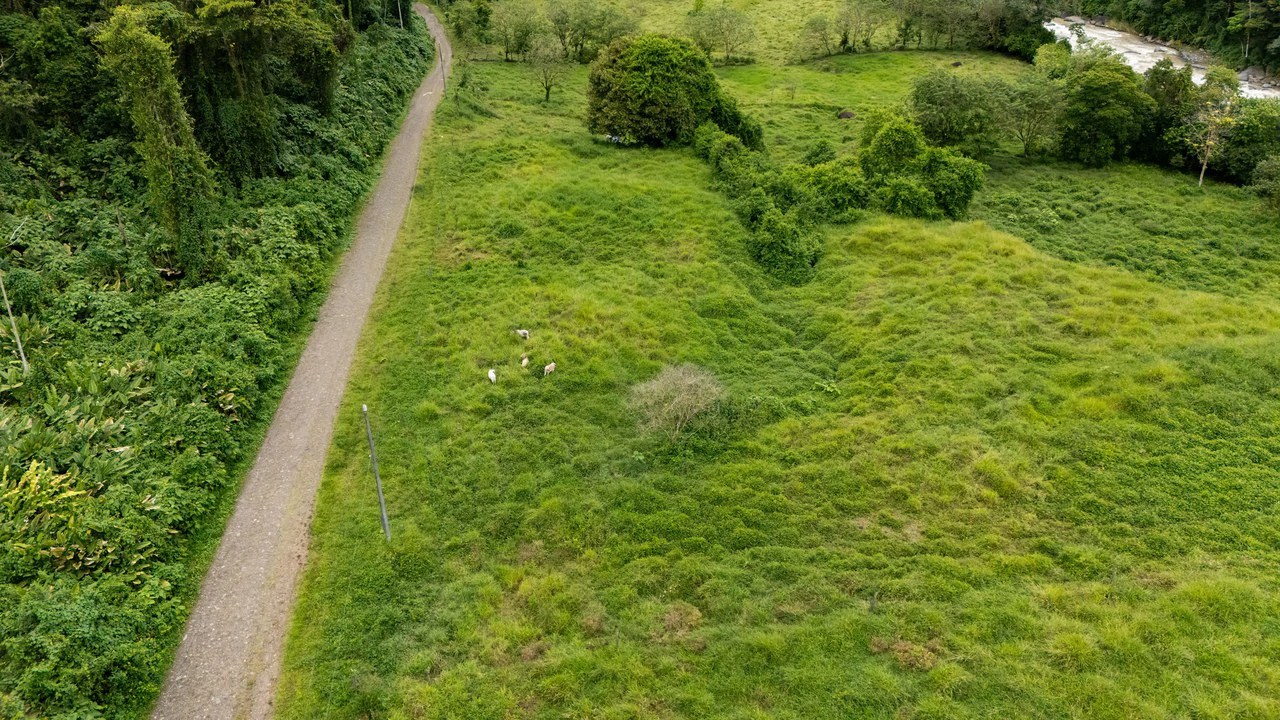 Mountain Home Construction Site For Sale in Río Nuevo - Gallery image 15