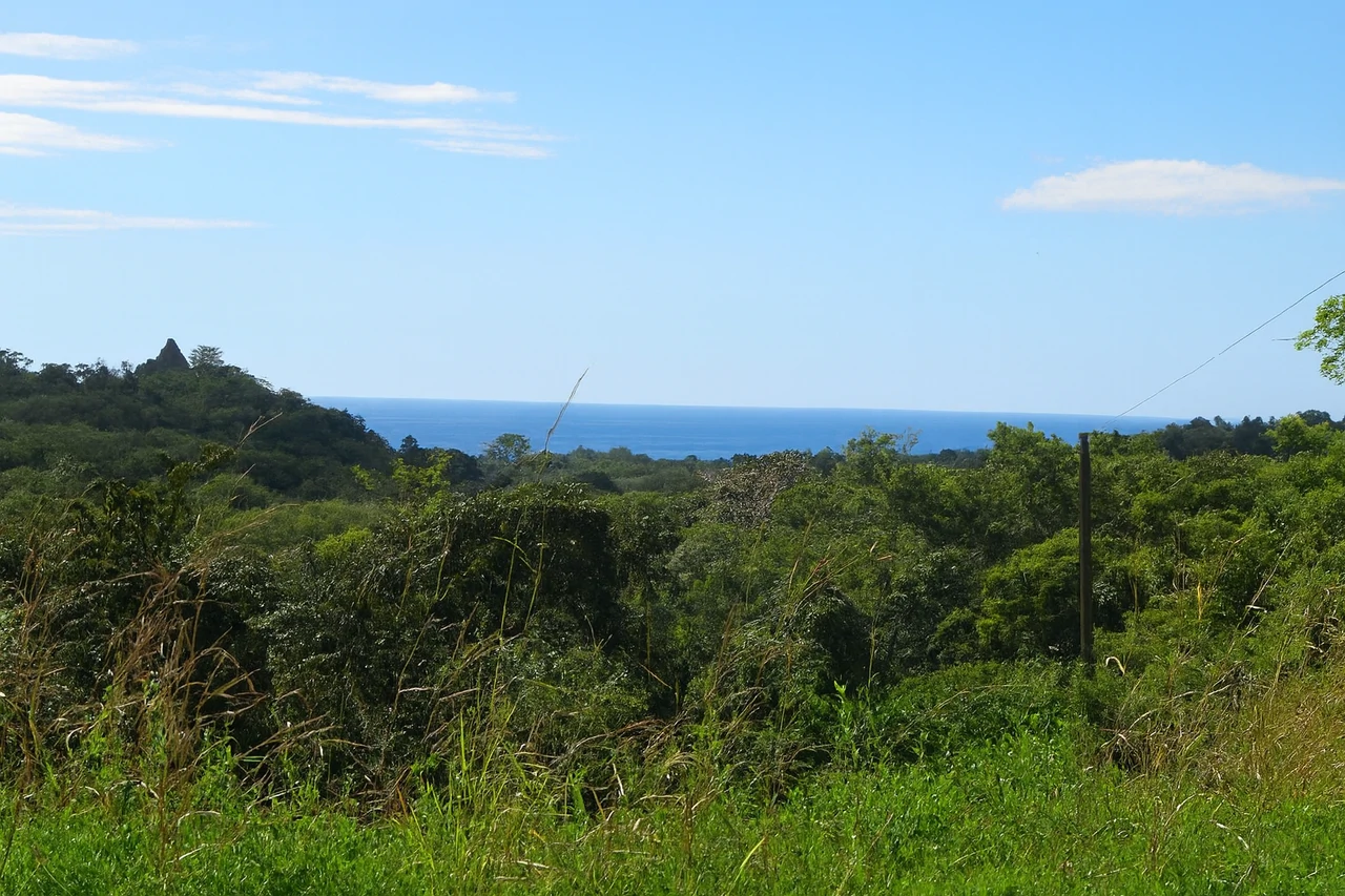 Terreno Exclusivo en Venta – Playa Marbella, Guanacaste, Costa Rica: Mountain Home Construction Site For Sale in Marbella - Gallery image 5
