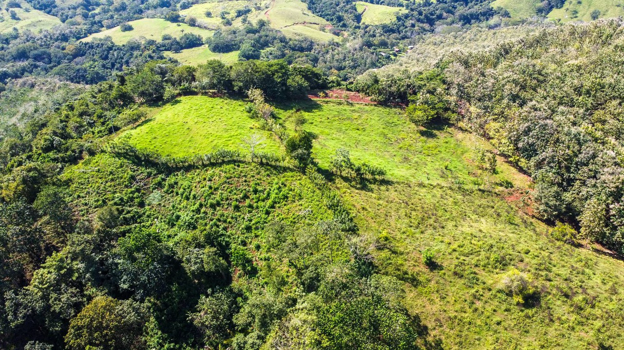35 Acre Finca - A Natures Lover Or Developers Dream With Stunning Views - photo 3