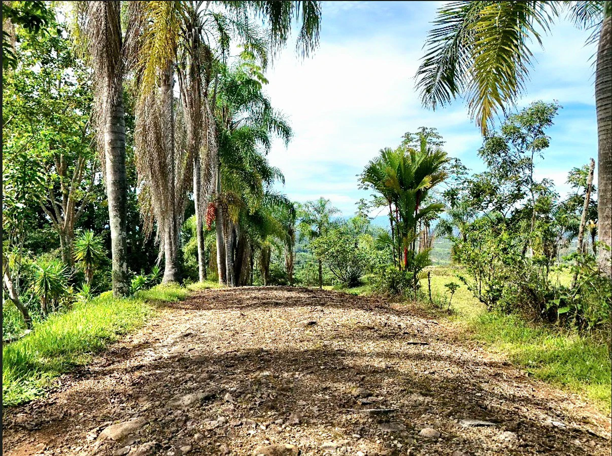 Mountain Home Construction Site For Sale in Miravalles - photo 8