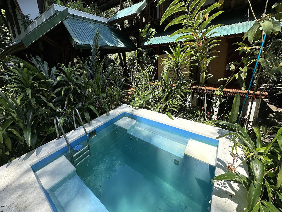 Jungle Beach Exotic Retreat - Gallery image 7