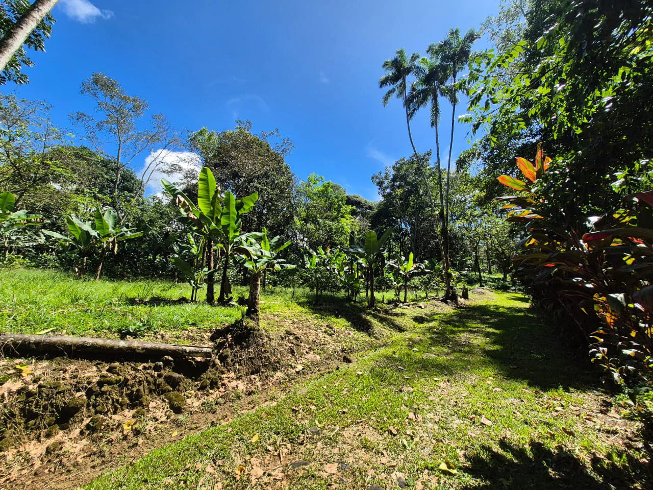 Mountain Home Construction Site For Sale in Centro de Pérez Zeledón - Gallery image 16