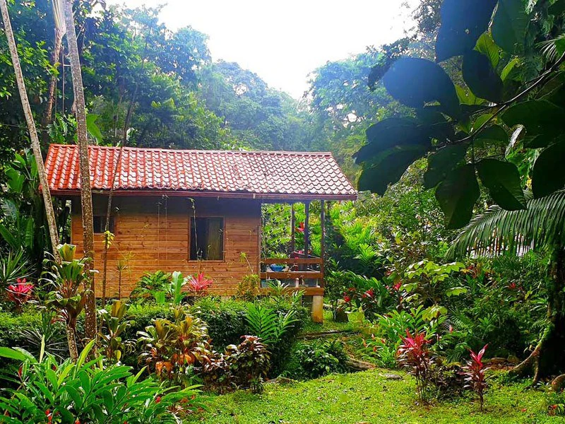 8 Cabinas with Swimming Pool on Lush Jungle Property in Uvita - Gallery image 25