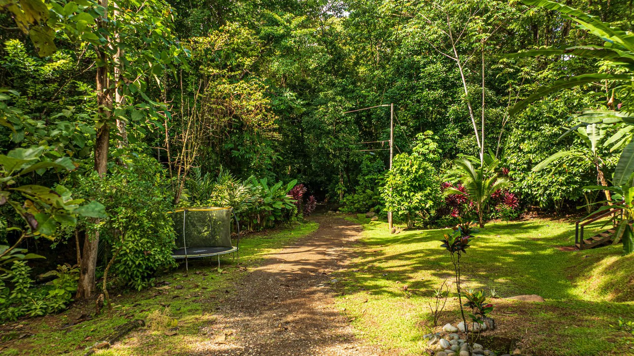 A Jungle House Built of Wood & River Dreams - Gallery image 7