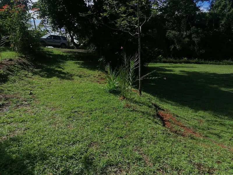 69.16 Acres Property | Mountain & Top Ocean View with Small Home - Gallery image 35