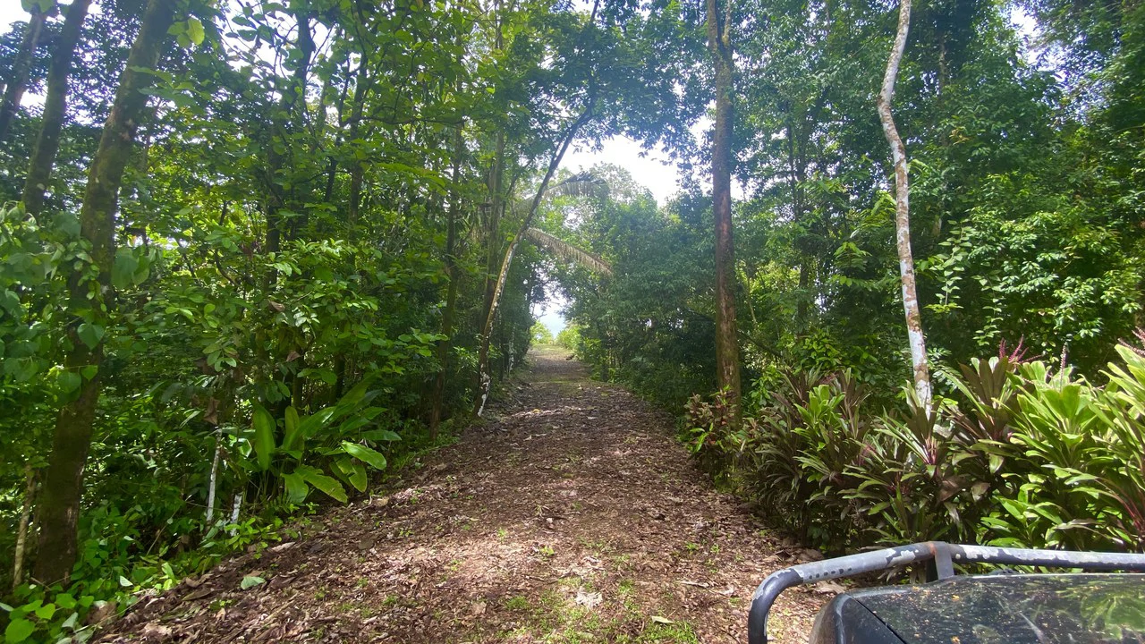 Mountain Home Construction Site For Sale in Tres Rios - Gallery image 17